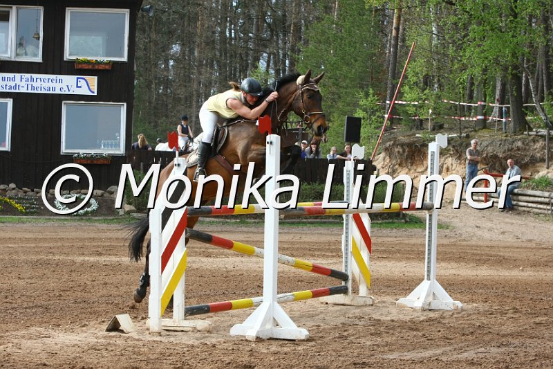 203M7102_Blue Sky_Spring_Mx.JPG